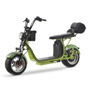 Citycoco Harley  3000 W Scooter